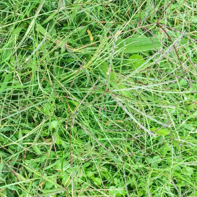 Common Mistakes to Avoid When Planting
