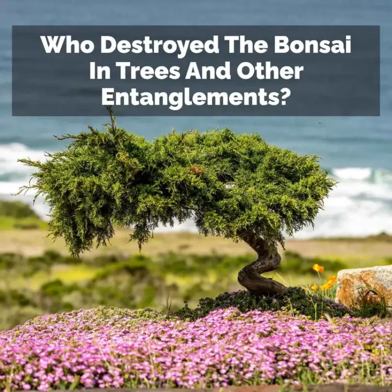 Who Destroyed The Bonsai In Trees And Other Entanglements