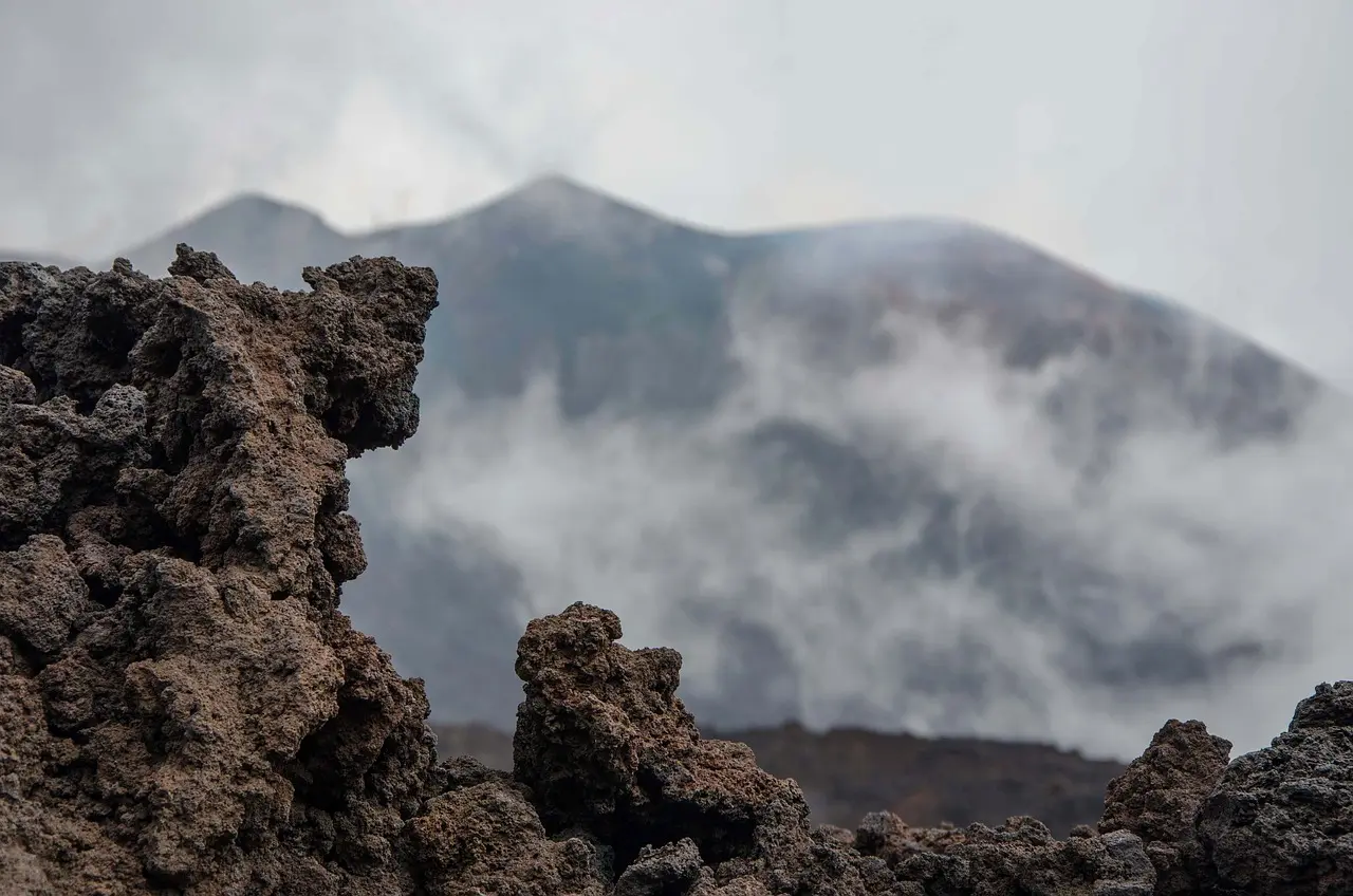 What does lava rock do for bonsai roots?