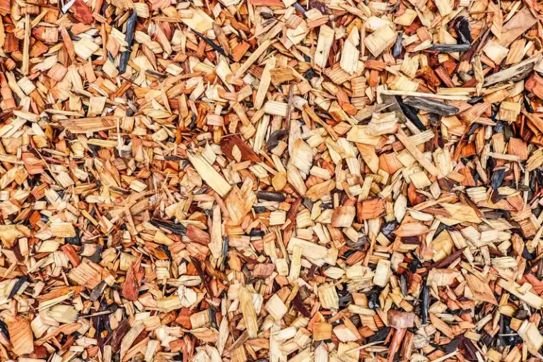 Landscape bed with shrubs mulched in shredded bark, pine straw, and stone under natural light