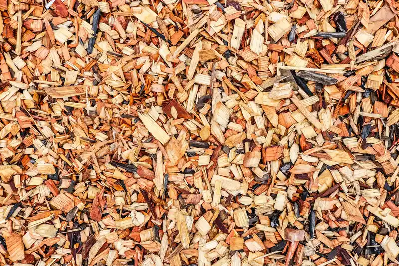 Landscape bed with shrubs mulched in shredded bark, pine straw, and stone under natural light