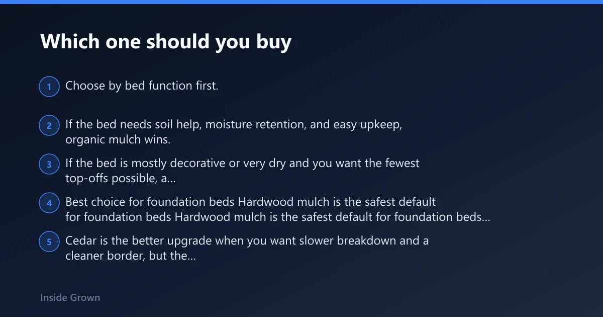 Steps: Which one should you buy