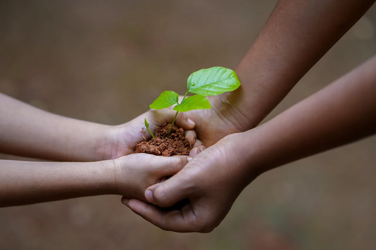 SunGro Horticulture Seedling Mix: best for the easiest germination