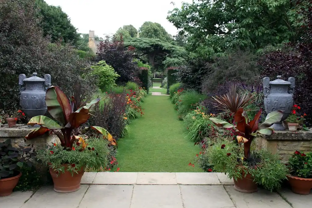 Hand comparing shrub leaves and flower clusters at a garden border