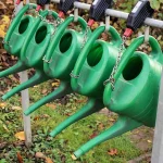 Seedling watering cans and sprayers beside a tray of young seedlings on a potting bench