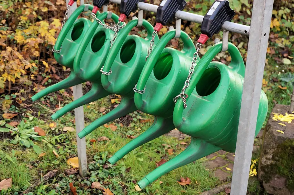 Seedling watering cans and sprayers beside a tray of young seedlings on a potting bench