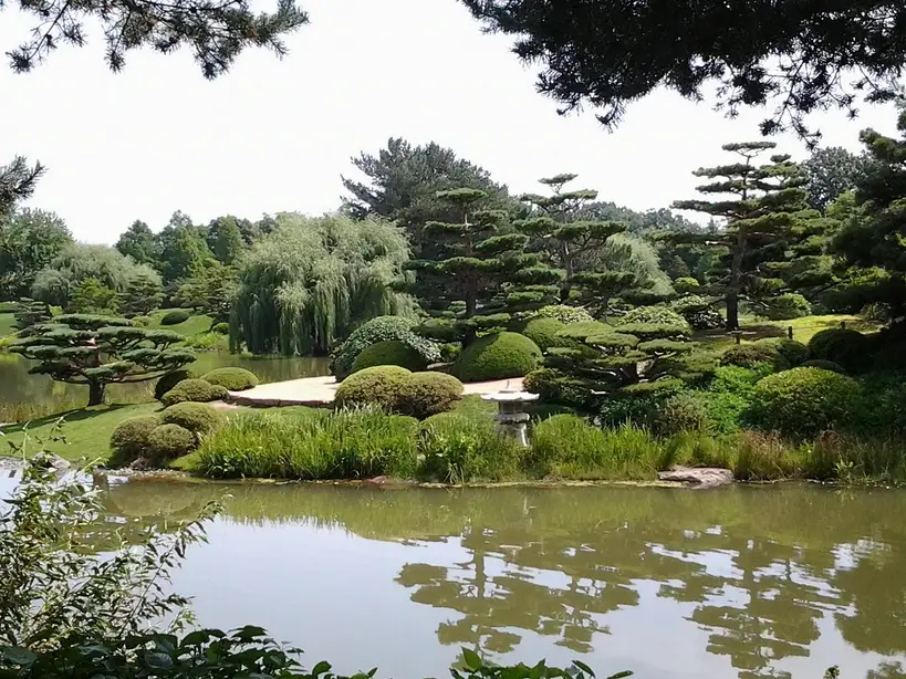 How often should I water a bonsai tree?