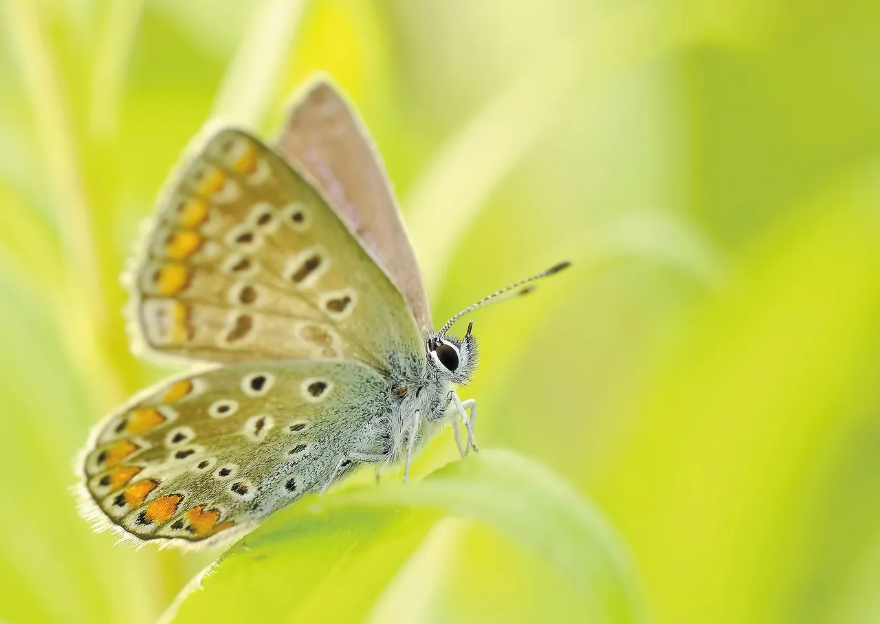 How do you choose the right botanical garden visit type?