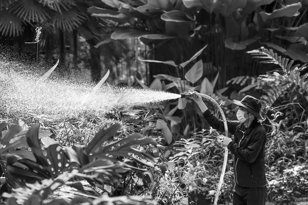 What makes botanical garden plant care different?