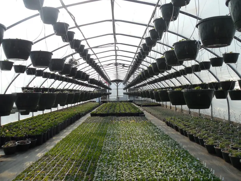 Botanical-garden plant care checklist for 12 plant types