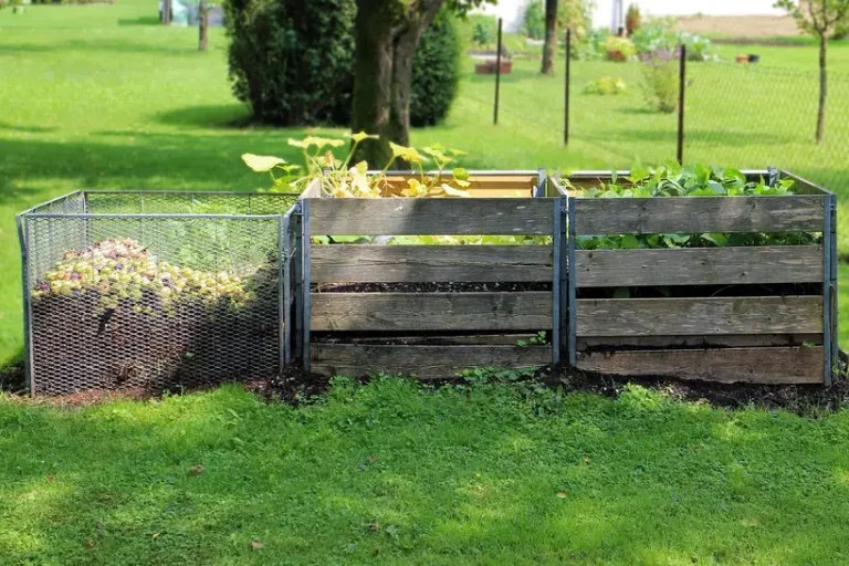 Gardener comparing compost and topsoil beside raised garden beds in natural light