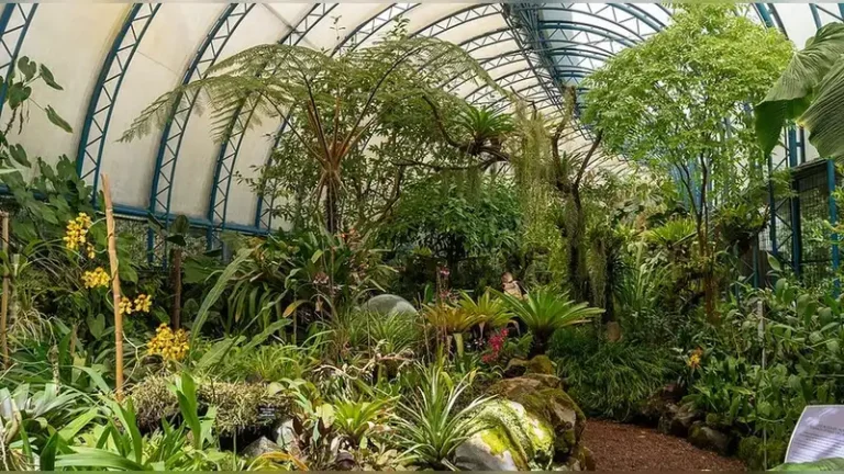 Cons of Botanical Garden Seed Banks You Should Know