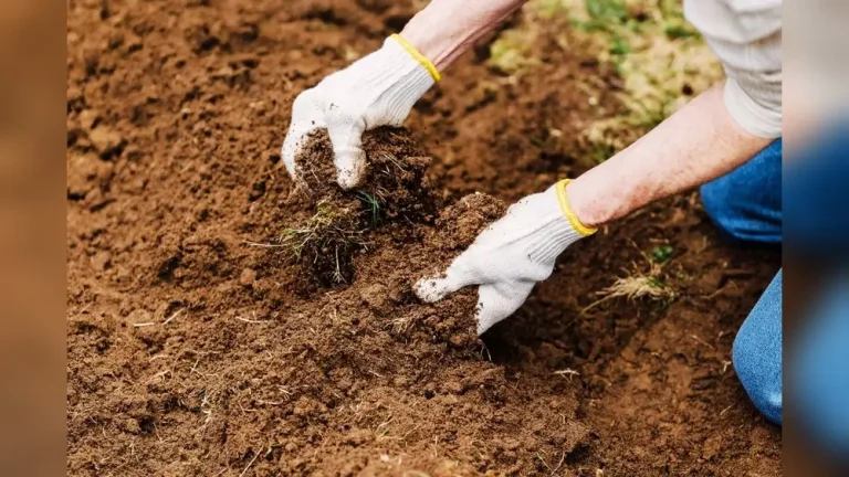 Does Gardening With Hard Water Make Soil Ph Basic?