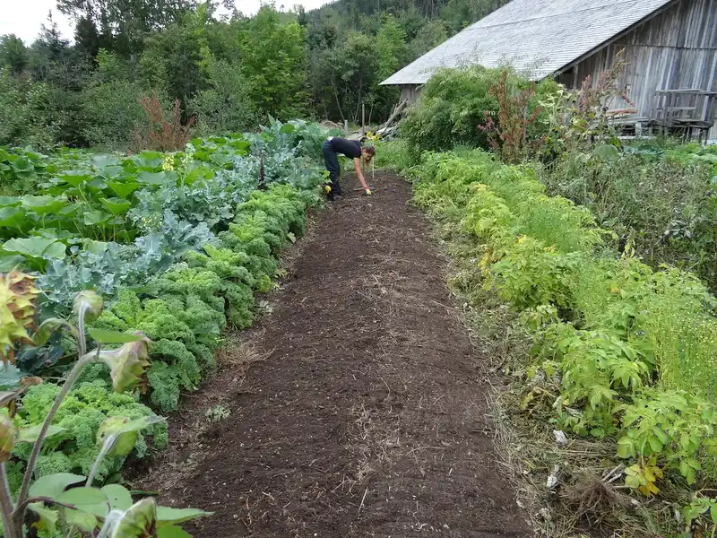 How do I choose a good spot for my first garden?