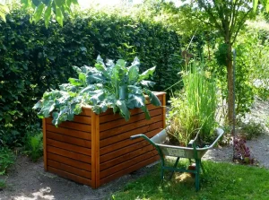 Gardening tips for raised beds: setup, soil, watering