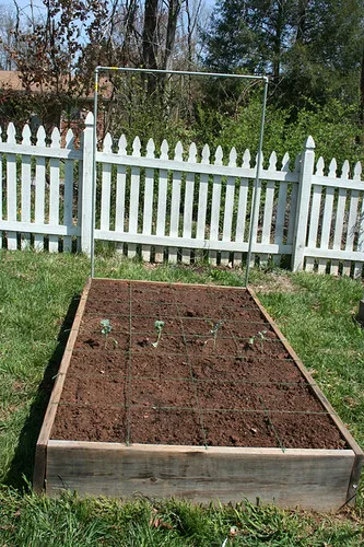 Close-up of raised bed soil mix being watered by hand