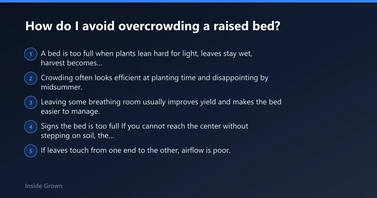 Steps: How do I avoid overcrowding a raised bed?