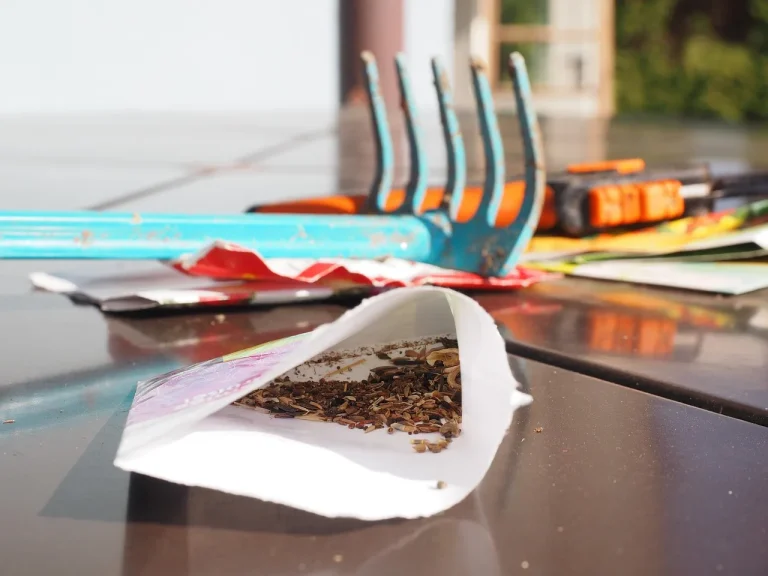 Home gardener comparing seed packets, small pots, and a garden bed in natural daylight.