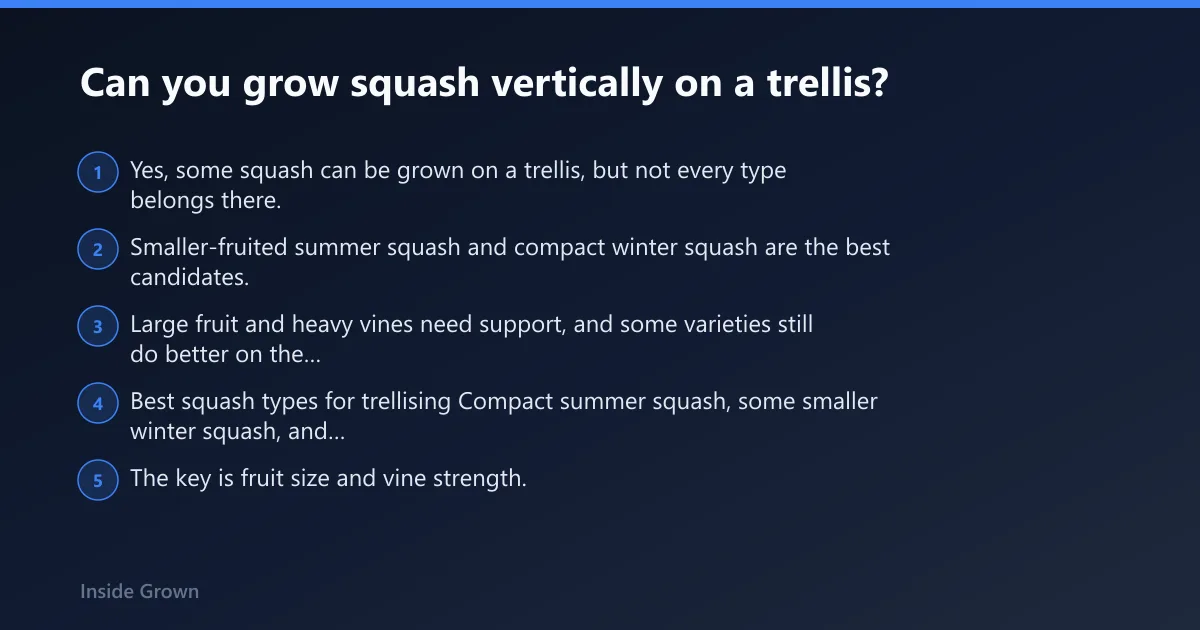 Steps: Can you grow squash vertically on a trellis?