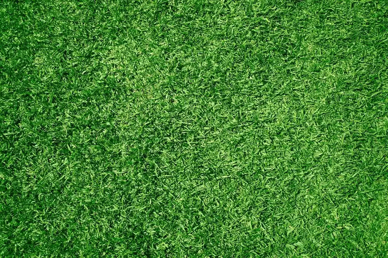 How much do landscaping services cost for a typical yard?