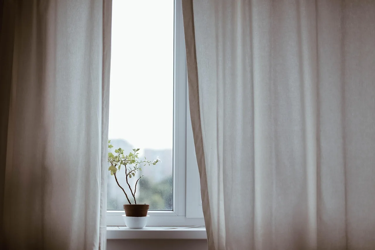 Houseplants arranged at different distances from a sunny window in a bright living room