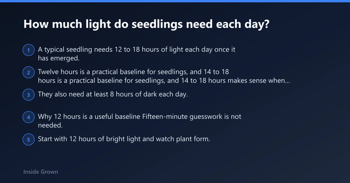 Steps: How much light do seedlings need each day?