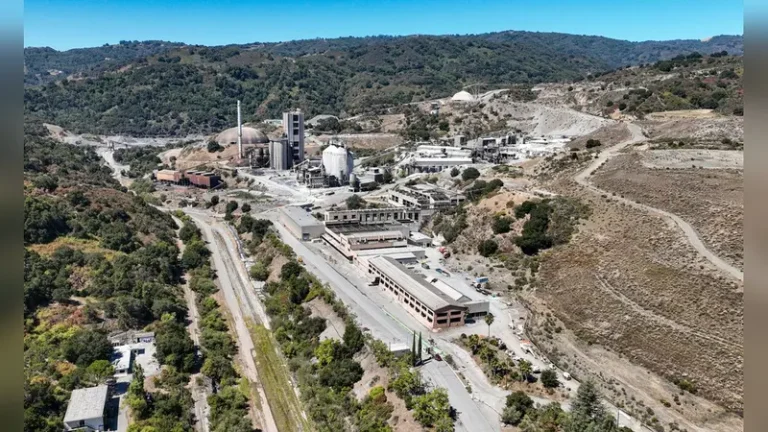 How Much Money for Planting a Tree in the Bay Area?