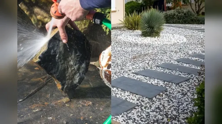 How to Clean Landscape Rocks Without Killing Plants