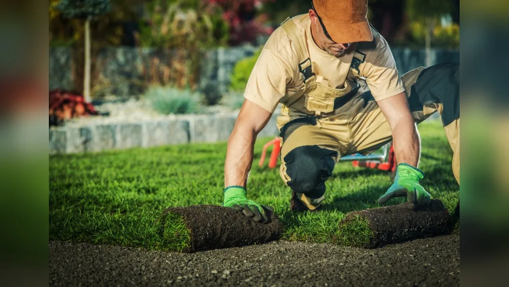 How to Find Quality Landscaping And Gardening Services Near You
