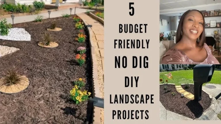 How to Landscape a Front Yard for Beginners on Any Budget