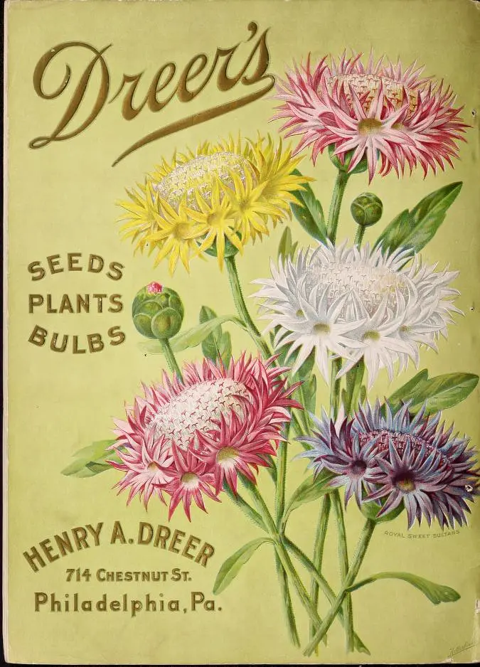 Hand sowing seeds into a small pot of moist soil