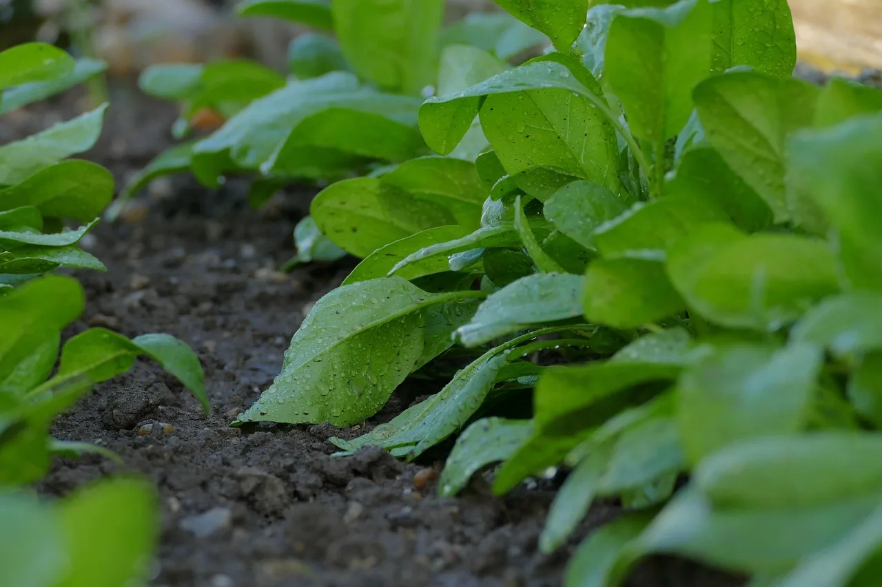 Choose by garden type, pressure, and maintenance tolerance