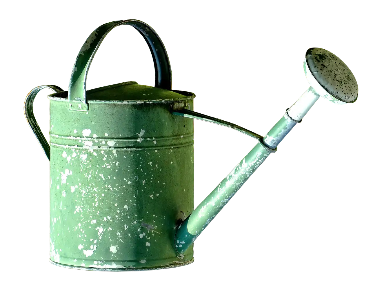 What is the best watering system for a home garden?
