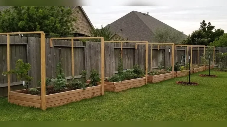 Is Douglas Fir Safe for Vegetable Gardens? What You Need