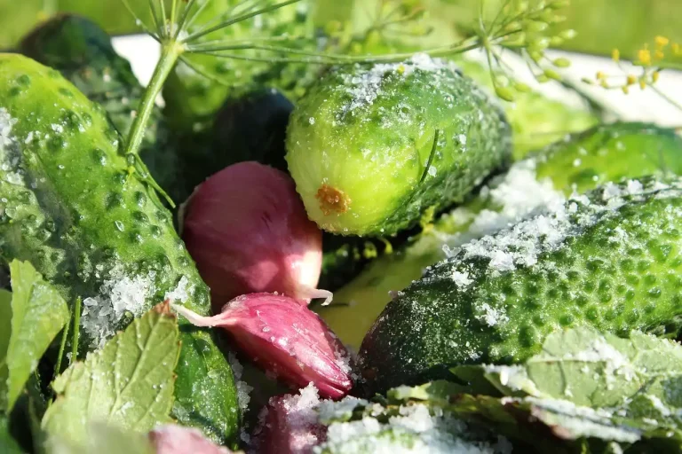 Gardener holding Epsom salt beside tomato and pepper plants in a vegetable garden