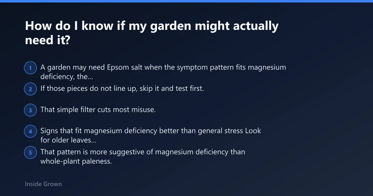 Steps: How do I know if my garden might actually need it?