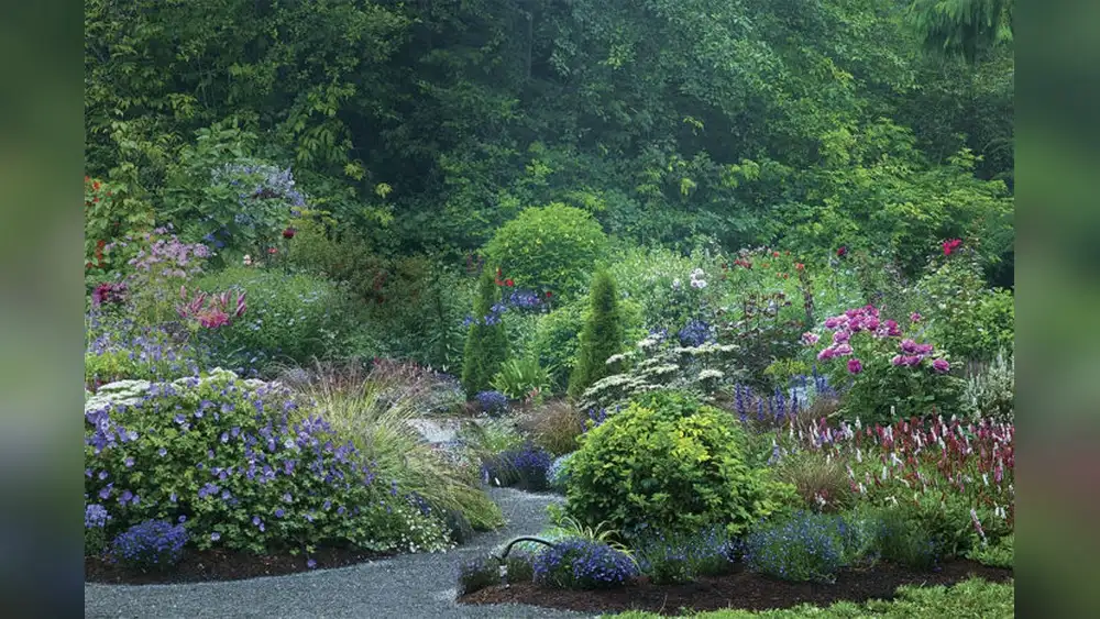 Is There an App That Helps With Landscape Design? Yes!