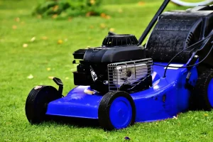 Landscaping Services vs Lawn Care Services: What to Hire