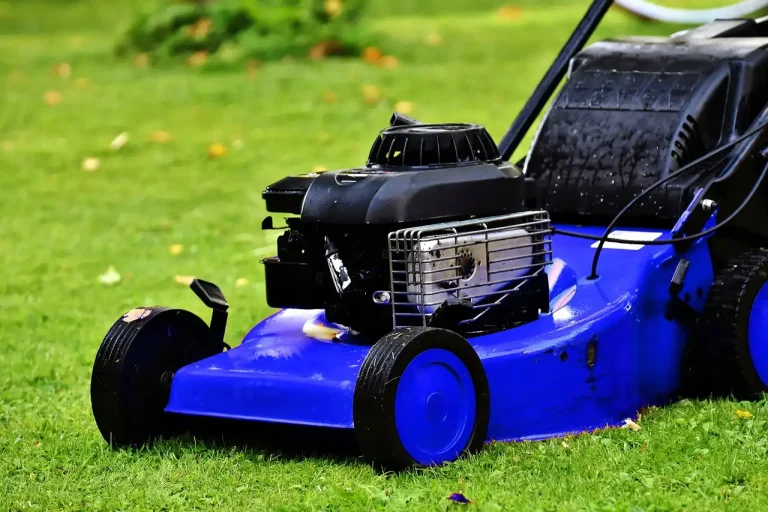Homeowner comparing a mowed lawn and a landscaped planting bed in a suburban yard