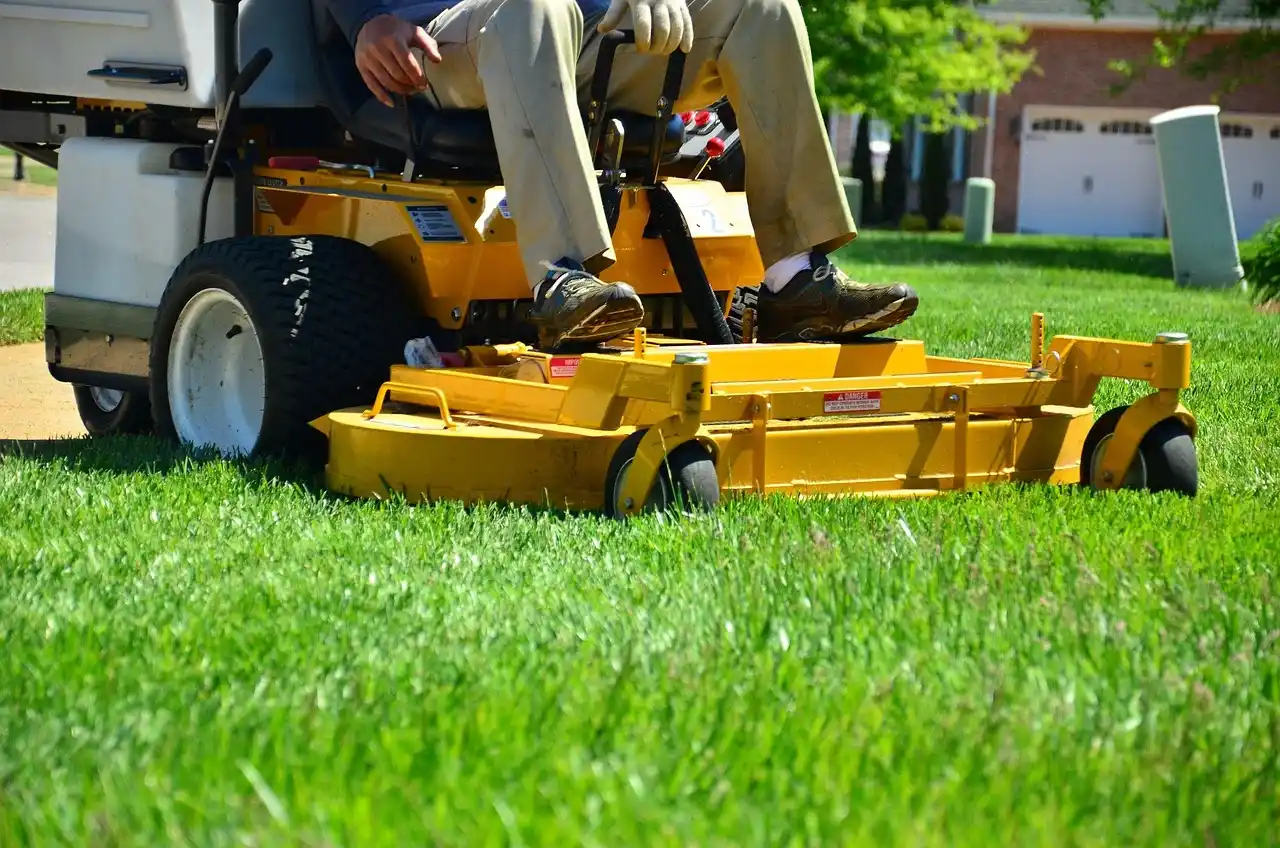 What is the difference between landscaping services and lawn care services?