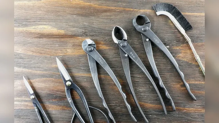 Must-Have Bonsai Tools Every Beginner Needs to Start