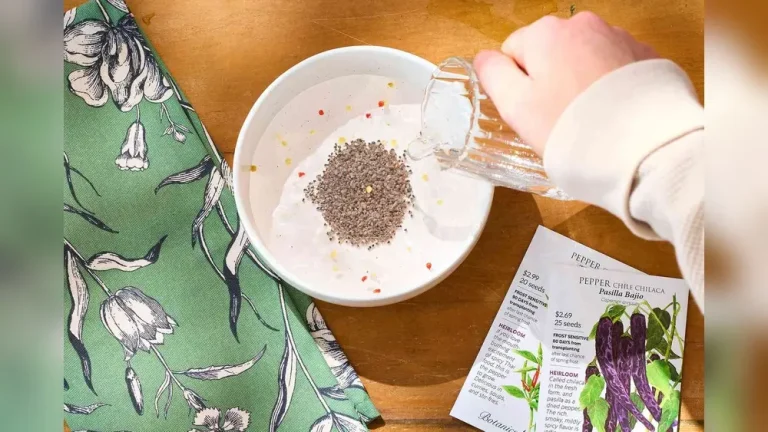 Should You Soak Seeds Before Planting? What Gardeners Say