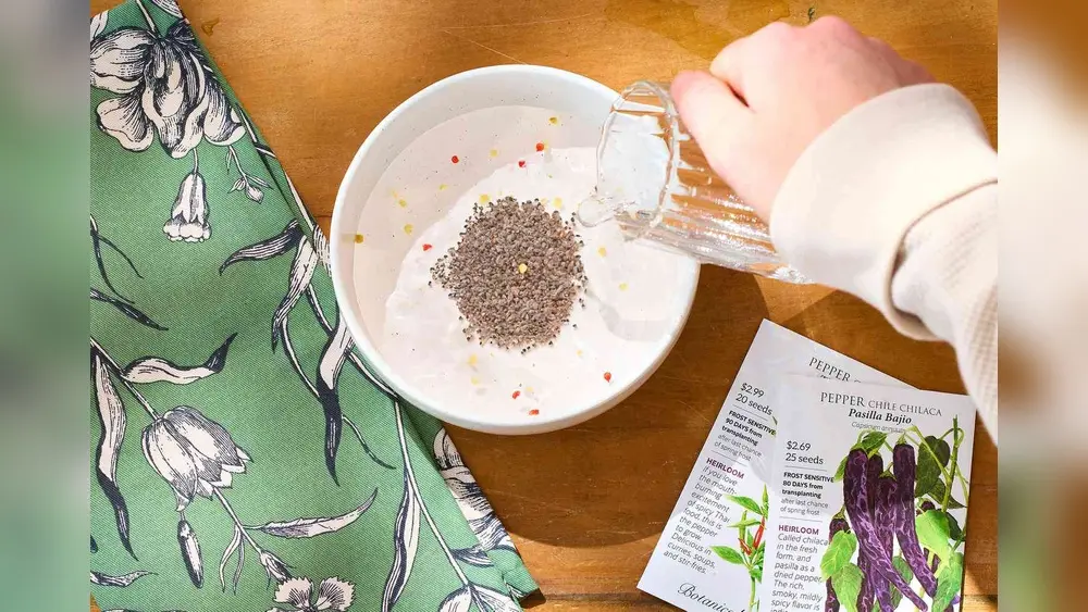 Should You Soak Seeds Before Planting? What Gardeners Say