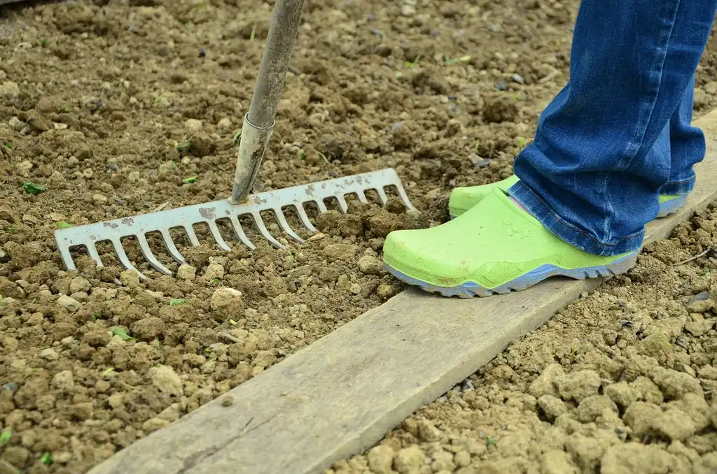 Bed soil decision checklist
