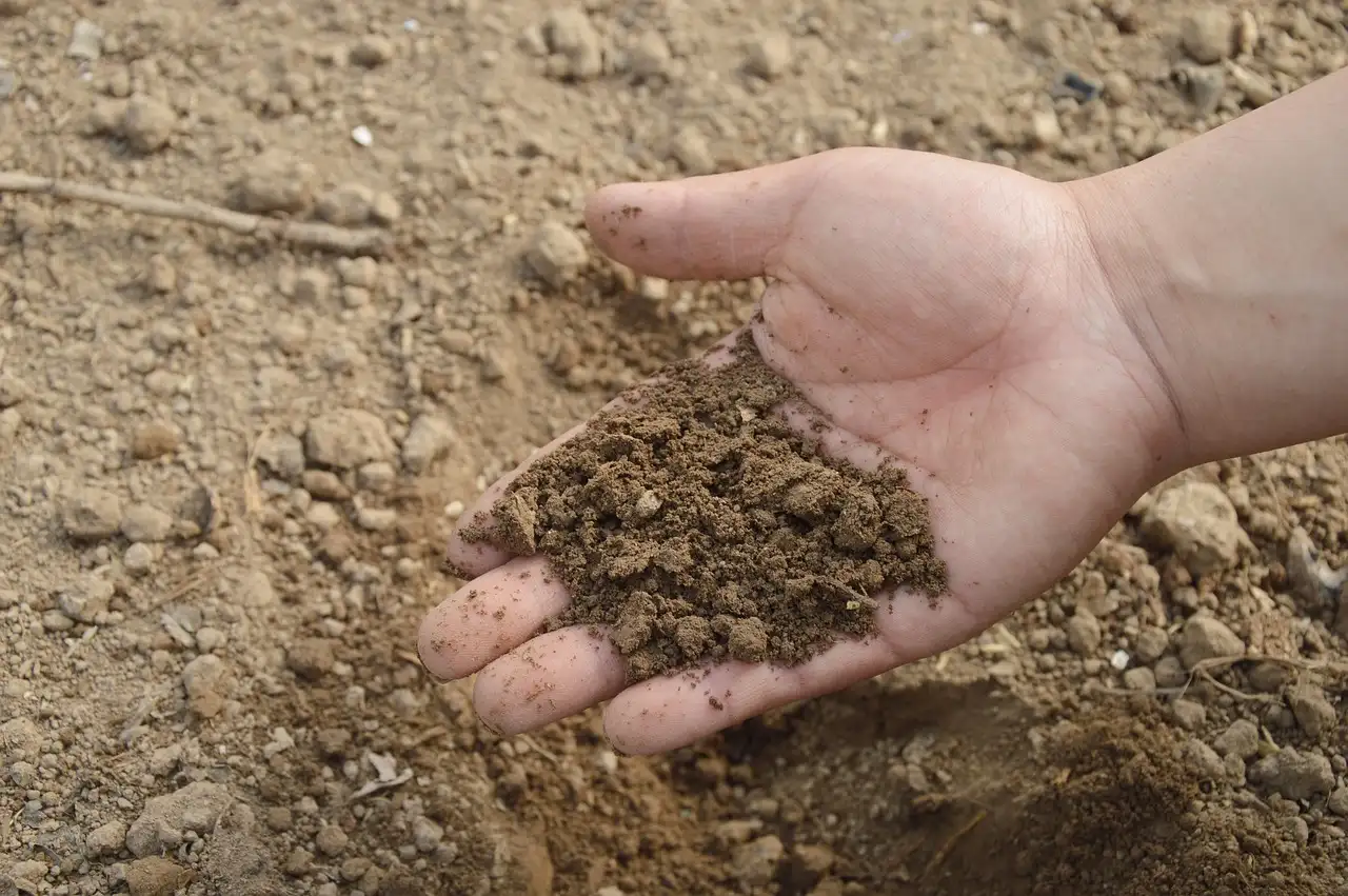 Should I use topsoil, garden soil, or compost in a new bed?