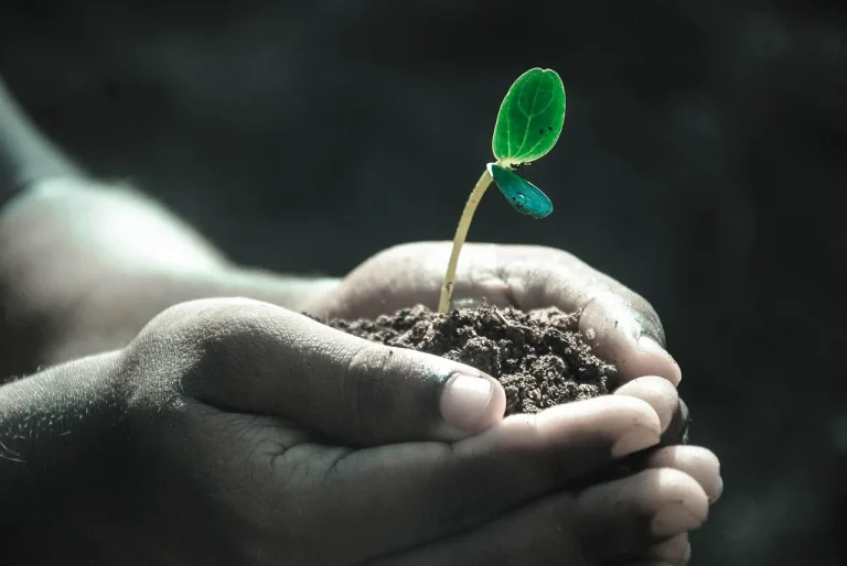 Gardener holding dark soil beside pH strips, a trowel, and a notebook in a garden bed.