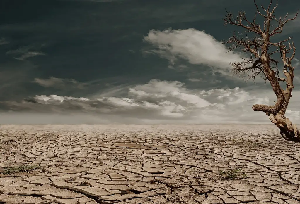 What is soil science all about?