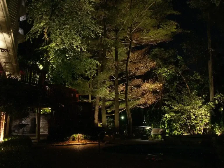 Solar path lights and low-voltage landscape lights in a backyard showing bright and shaded zones at dusk.