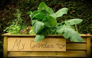 Topsoil vs Subsoil: Key Differences for Gardeners in Beds