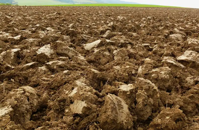 How deep should topsoil be for beds, lawns, and trees?